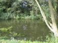 IMG 6409