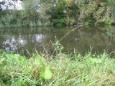 IMG 6415