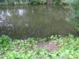 IMG 6416