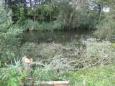 IMG 6419