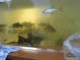 IMG 6446