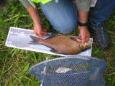 IMG 6757