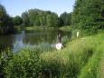 IMG 6778