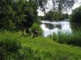IMG 6781