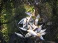 IMG 6786