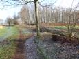 DSC00141.JPG