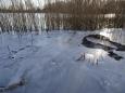DSC00160.JPG