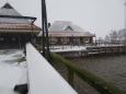 DSC00182.JPG