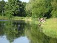DSC06591.JPG