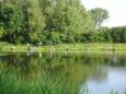 DSC06595.JPG