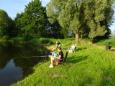 DSC06704.JPG