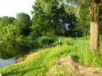 DSC06707.JPG