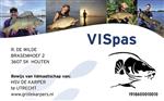 Vispas 2020